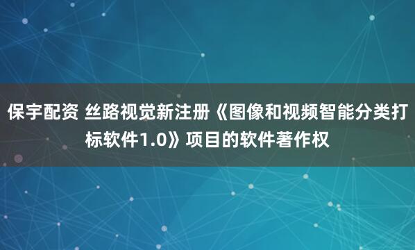 保宇配资 丝路视觉新注册《图像和视频智能分类打标软件1.0》项目的软件著作权