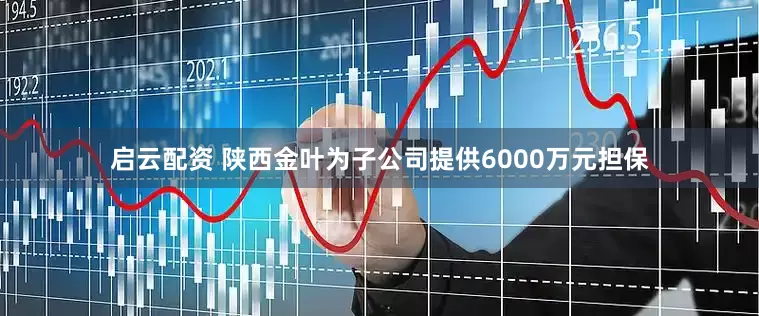 启云配资 陕西金叶为子公司提供6000万元担保